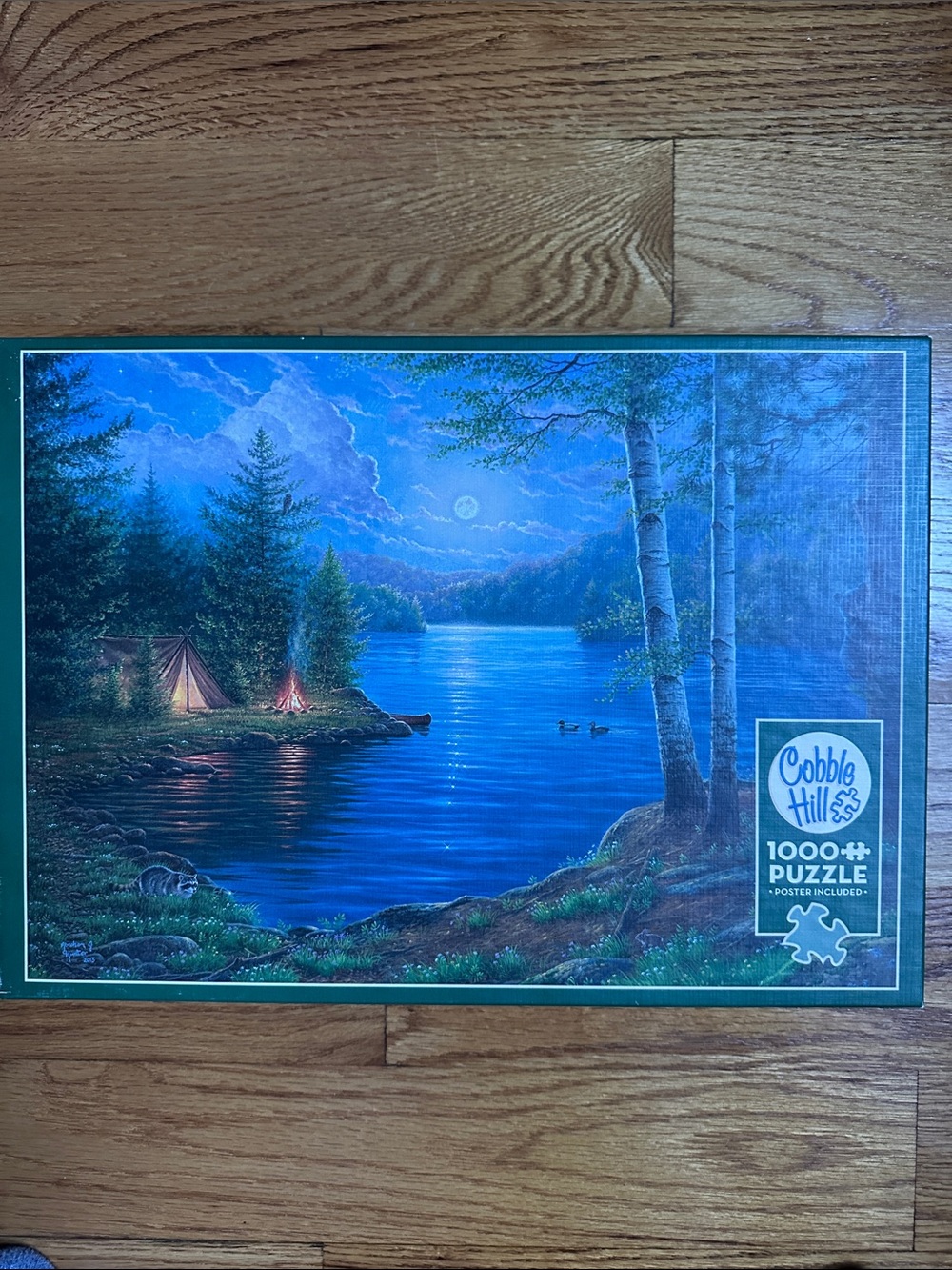 Cobble Hill Moonlit Camp Lakeside 1000-Piece Puzzle